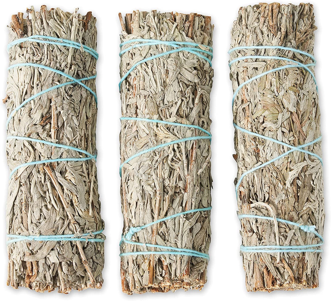 Three bundles of blue sage tied with blue string, arranged neatly on a light background.