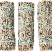 Three bundles of blue sage tied with blue string, arranged neatly on a light background.